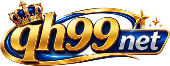 QH99 Net